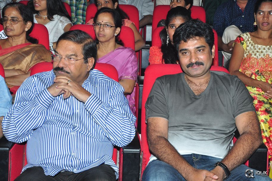 Nannaku-Prematho-Movie-Audio-Launch